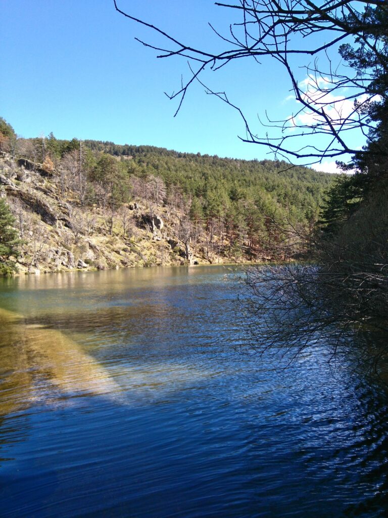 In Balance Yoga Mediation